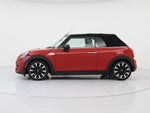2019 Convertible Thumbnail 3