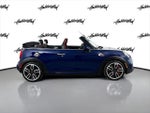 2019 Convertible Thumbnail 4
