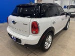 2014 Countryman Thumbnail 8