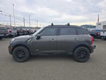 2013 Countryman Thumbnail 2