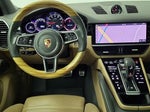 2019 Cayenne Thumbnail 9