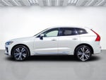 2022 XC60 Thumbnail 8