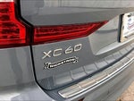 2022 XC60 Thumbnail 8