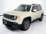 2015 Renegade Thumbnail 1