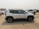 2015 Renegade Thumbnail 10