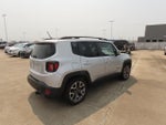 2015 Renegade Thumbnail 11