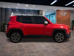 2017 Renegade Thumbnail 15