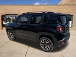 2016 Renegade Thumbnail 11