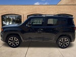2016 Renegade Thumbnail 12