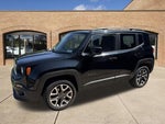 2016 Renegade Thumbnail 15