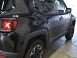 2016 Renegade Thumbnail 6
