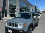 2017 Renegade Thumbnail 1