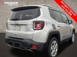 2018 Renegade Thumbnail 8