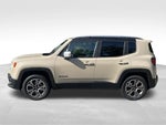 2015 Renegade Thumbnail 2