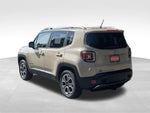 2015 Renegade Thumbnail 3