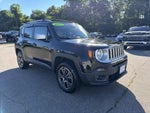 2015 Renegade Thumbnail 12