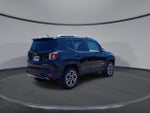 2016 Renegade Thumbnail 8