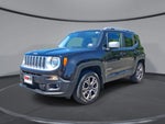 2016 Renegade Thumbnail 1