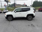 2015 Renegade Thumbnail 5