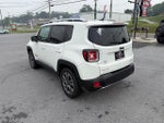2015 Renegade Thumbnail 6