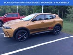 2024 Hornet Thumbnail 14