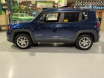 2019 Renegade Thumbnail 14
