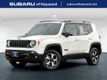 2019 Renegade Thumbnail 1