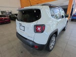 2020 Renegade Thumbnail 7