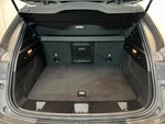 2024 Hornet Thumbnail 22