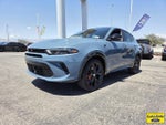 2024 Hornet Thumbnail 3