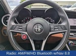2019 Giulia Thumbnail 27