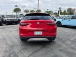 2019 Stelvio Thumbnail 6