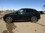 2019 Stelvio Thumbnail 8
