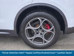 2022 Stelvio Thumbnail 28
